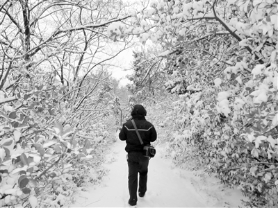 【甘肃降雪降温】陇原银装素裹 土地“解渴”道路难行