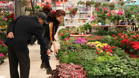 武威花卉市场货源充足 吸引顾客选购（图）