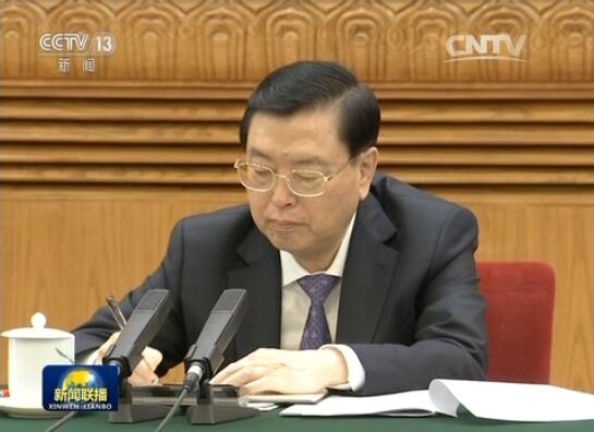 [视频]张德江参加浙江代表团审议