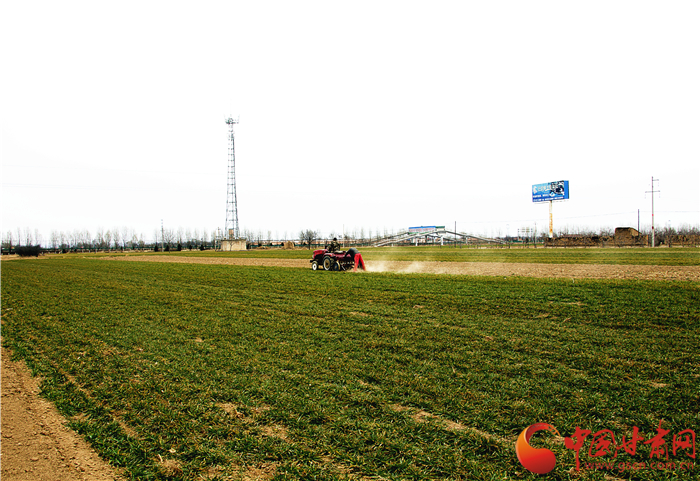 庆阳宁县追施返青肥确保45万亩冬小麦丰产丰收（图）