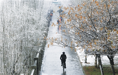 甘肃：阳春三月雪纷飞 不知是冬还是春（图）