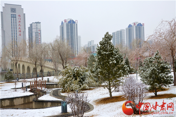 甘肃本土电影《雪葬》讲述转型时期中国农民的