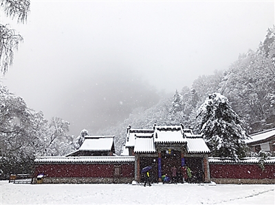 阳春三月雪纷飞 陇原妖娆醉春中（组图）