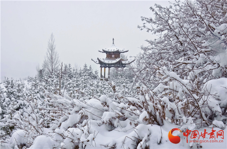 陇拍客| 定西渭源县老君山的“冰雪奇缘”（组图）