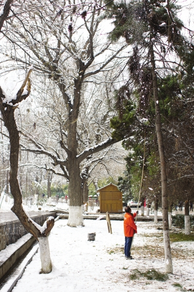 雨雪过后兰州环卫工人推水清淤（图）