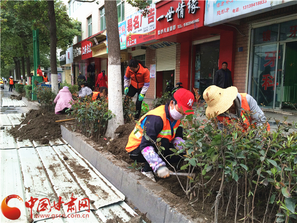 陇南武都区：三月好栽花（图）