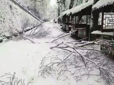 大雪封山 天水麦积山谢客（图）