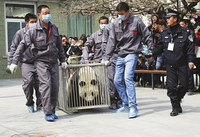 归蜀休养蜀兰告别兰州（组图）