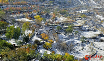 陇拍客| 东乡雪景（图）