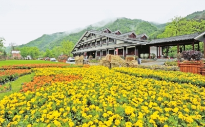 陇南康县花桥村：乡村旅游富乡民（图）