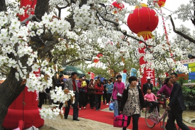 什川文化旅游节8日开幕 兰州至什川赏花航线也将同期开通