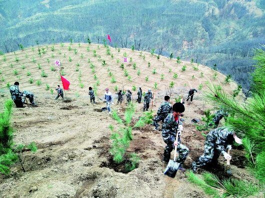 平凉灵台县朝那镇干部职工栽植绿化苗木（图）