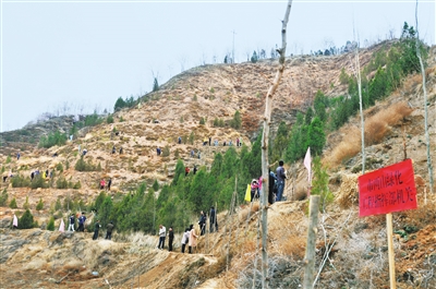 兰州南北两山指挥部开展春季植树护绿活动