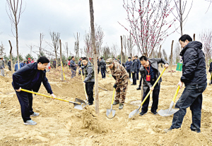 兰州地区党政军领导义务植树