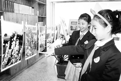 北京第二实验小学兰州分校举办“爱慧”摄影大赛