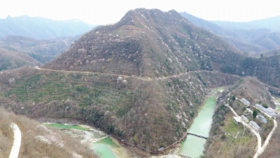 张治：扎根陇南山区的清华博士（图）