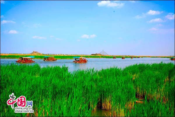回族姐妹花惊艳重庆 跟着她们来看神奇宁夏