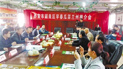 西安阎良早春瓜菜进入兰州 大青山市场签订2.2万吨购销协议