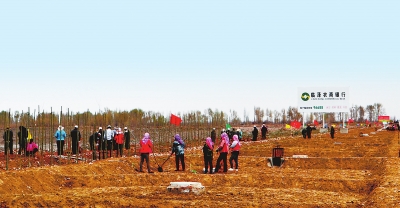 张掖市临泽县干部群众参加义务植树活动（图）
