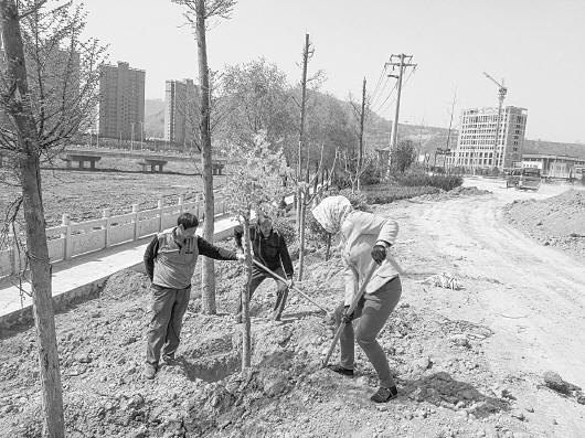 平凉群众栽植绿化苗木 构建城市森林生态体系（图）