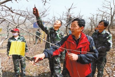 临夏州农科院林科所技术人员为群众提供林业科技服务（图）