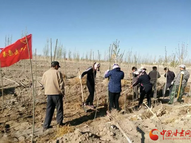 酒泉阿克塞：巾帼植绿美家园助力旅游靓风景（图）