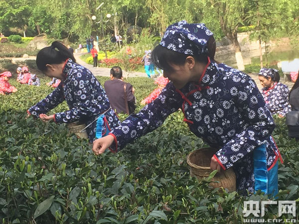 养蜂收入怎么样_开淘宝店收入怎么样(3)