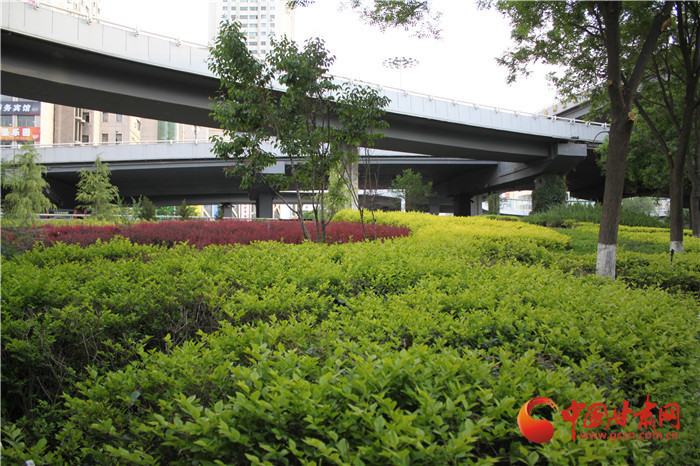 兰州小西湖桥下空地华丽变身 破解城市管理桥上干净桥下脏现象（组图）