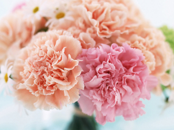 母亲节特别策划:无尽的爱 如书香沁人心脾_美