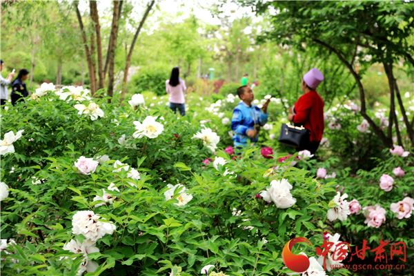 陇拍客|定西市新城区：花儿飘香美景醉游人（图）