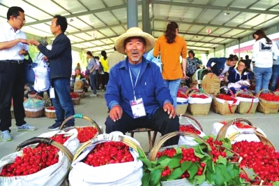 天水烟铺大樱桃上市 二维码助力果农增销量（图）