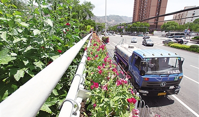 万事俱备 “兰马”只待鸣枪开赛（图）