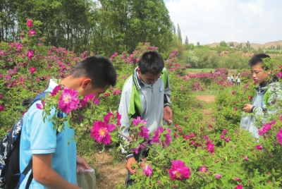 兰州市永登苦水农家乐收入迎来近年最高峰值（图）