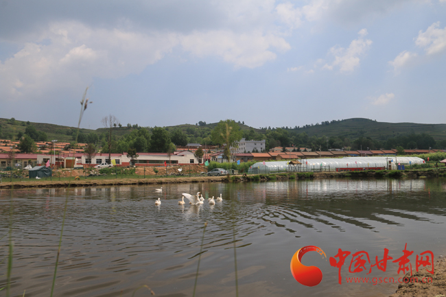 【平凉崆峒】大美生态园：美了乡村 富了百姓