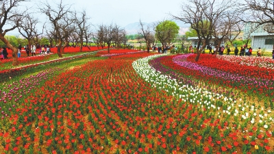 【治国理政新实践·甘肃篇】花儿临夏（图）