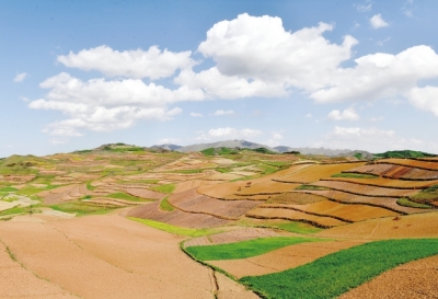 陇南武都马营红土地（图）