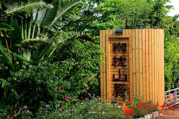 海口演丰乡野民宿 临海而居别样的民俗风情(图