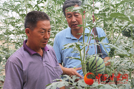 张仲保：扎根田间 为棚户传经送宝（图）