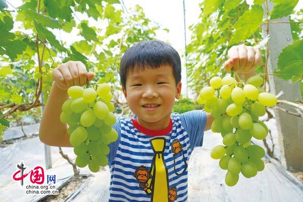 江苏徐州:积极推进国家全域旅游示范区创建