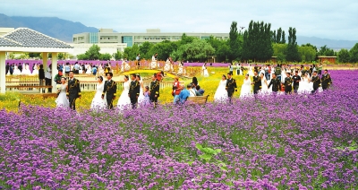 一场主题为“军旅风·献给最可爱的人”集体婚礼在金昌市紫金苑举行