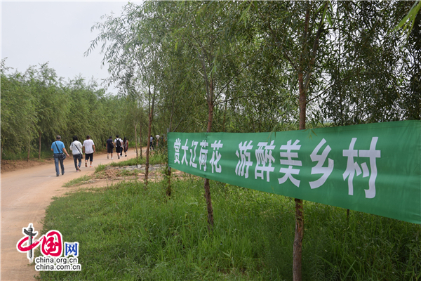 沈阳法库:赏最美大辽荷花 听灵湖神龙传说