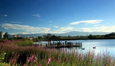 绿洲图片风景图片大全