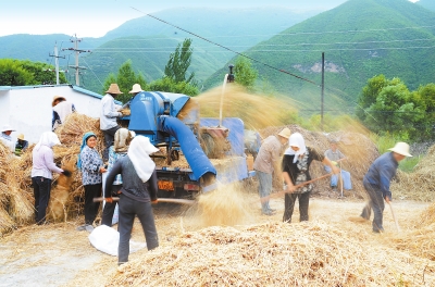 定西市漳县殪虎桥镇农民收获小麦 用机器脱麦粒（图）