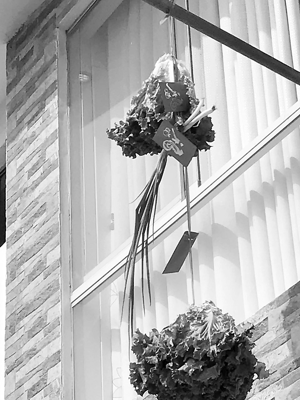 舞狮掷香槟 秘鲁华人中西合璧贺乔迁_旅途故事