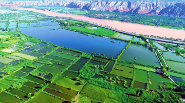 临夏州永靖县大力发展水产养殖 水产品产量突破2000吨