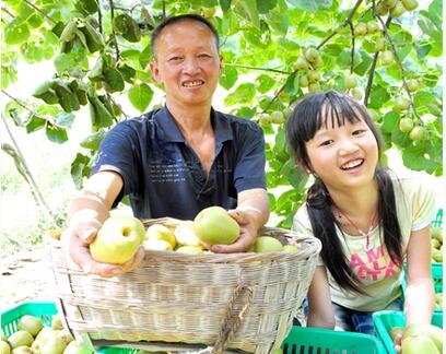 甘肃省新型职业农民培育方案出台