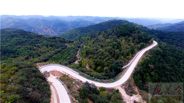 【穿行庆阳子午岭】林区之路