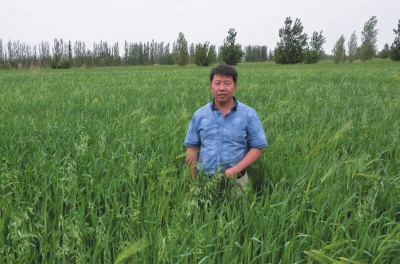 坚守梦想小草也能做成大产业——访兰州欣海天然绿色食品开发有限公司总经理白建海