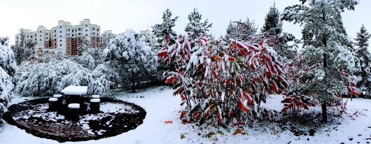 定西市迎来今秋首场降雪 安定最低气温达到-1.1℃（图）