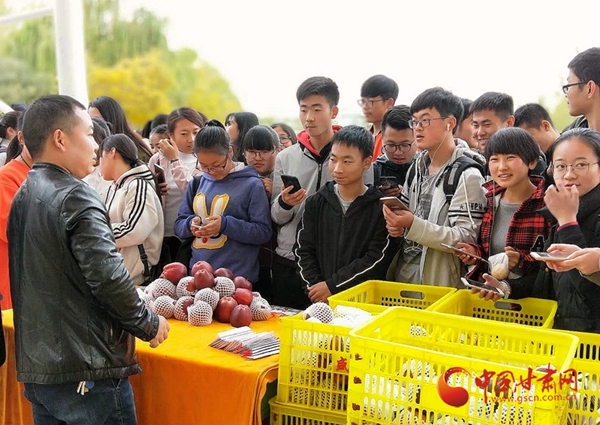 陇南市西和县“农特电商进高校” 为电商扶贫开辟新途径（图）